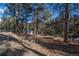 Wooded lot view with a small shed and a dirt road at 5925 Herzman Dr, Evergreen, CO 80439