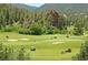 Golf course with mature trees and unique rock formations in background at 6301 Perry Park Blvd # 22, Larkspur, CO 80118