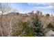 A distant view of a building in the background, framed by trees at 49 Dawn Heath Cir, Littleton, CO 80127