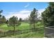 Backyard view with mature trees and green space at 6780 W 84Th Cir # 66, Arvada, CO 80003