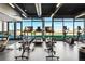 Bright fitness center featuring treadmills, exercise bikes, and elliptical machines with scenic views from large windows at 4225 Ridgewalk Pt, Castle Rock, CO 80108