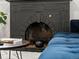Close-up of the decorative dark-colored fireplace with hearth and mantel in the living room at 3458 N Clayton St, Denver, CO 80205