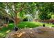 Lush backyard featuring a patio, play set, and mature trees offering ample shade at 7245 Prairie Cir, Longmont, CO 80504