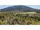 Expansive view of lush green forests and serene mountain landscape surrounding the property at 8701 Majestic View Dr, Conifer, CO 80433