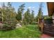 Lush backyard with green grass, trees, wooden deck, and natural rock formations at 8701 Majestic View Dr, Conifer, CO 80433
