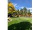 Landscaped backyard with lush green lawn and trees at 317 Ingleton Ct, Castle Pines, CO 80108