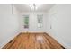 Light filled living room with wood floors, complemented by fresh paint and natural light at 253 N Lincoln St, Denver, CO 80203