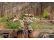Close-up of a backyard rock water feature with cascading water, lush plants, and a charming natural aesthetic at 7655 S Olive Cir, Centennial, CO 80112