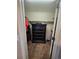 Walk-in closet with carpet floors and wire shelving at 5131 Delphinium Cir, Brighton, CO 80601