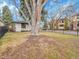 The backyard showcases lush greenery, a large tree, and black fence, all under a clear blue sky at 755 S Milwaukee St, Denver, CO 80209