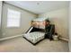 Bedroom features a playful bunk bed with a slide, perfect for  at 9032 Middle Fork St, Littleton, CO 80125