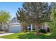 View of home's exterior featuring a lush, green front yard and a mature tree shading the blue front door at 3102 White Oak Trl, Highlands Ranch, CO 80129