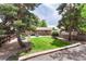 Well-maintained backyard with a large grassy area, perfect for outdoor activities, surrounded by mature trees at 1811 S Yank Ct, Lakewood, CO 80228