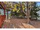 Landscaped backyard with mature trees and fallen leaves at 5123 Red Oak Way, Parker, CO 80134