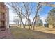 View of backyard with trees and distant mountains at 8678 Decatur St # 288, Westminster, CO 80031