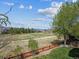 Expansive open field framed by mature trees, offering a serene landscape for outdoor activities at 3309 Springbriar Dr, Castle Rock, CO 80109