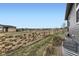 View of backyard showing well-maintained landscaping and a privacy wall at 3477 New Haven Cir, Castle Rock, CO 80109