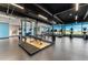 Well-equipped gym with a weight rack, bench, and a variety of cardio machines overlooking a scenic view at 4285 Ridgewalk Pt, Castle Rock, CO 80108