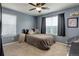 Blue bedroom featuring two windows, gray carpeting, and overhead ceiling fan at 24351 E Alamo Dr, Aurora, CO 80016