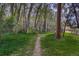 Scenic walking path through a serene wooded area, surrounded by lush green grass at 900 Poplar Ave, Boulder, CO 80304