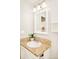 Well-lit bathroom with a granite vanity, a white sink, and a decorative plant, creating a refreshing ambiance at 10063 Silver Maple Rd, Highlands Ranch, CO 80129