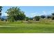 Expansive green open space with mature trees and mountain views at 10610 Moore Ct, Westminster, CO 80021