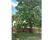 A blooming tree in the backyard provides ample shade at 1701 W 50Th Ave, Denver, CO 80221