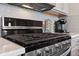 The kitchen range featuring stainless steel finishes and modern design, with gray backsplash at 3011 Low Meadow Blvd, Castle Rock, CO 80109