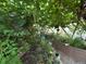 Abundant greenery and grape vines flourish inside this beautiful greenhouse at 456 Copperdale Ln, Golden, CO 80403