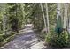 Long, wooded driveway leading to a secluded home with a charming mountain address marker at 10469 Christopher Dr, Conifer, CO 80433