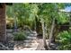 Landscaped backyard with stone pathway, birch trees, and lush greenery at 9617 S Shadow Hill Cir, Lone Tree, CO 80124