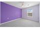 Bedroom with light gray carpet, purple accent wall, and ceiling fan, illuminated by a bright window at 1479 Nemrick Pl, Castle Rock, CO 80109