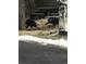 Wild turkeys foraging in the front yard at 24087 Deer Valley Rd, Golden, CO 80401