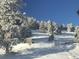 Snow-covered landscape with pine trees at 24087 Deer Valley Rd, Golden, CO 80401