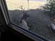 A large bull elk rests below a window at 24087 Deer Valley Rd, Golden, CO 80401