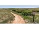 Scenic walking path with native grasses and shrubs at 655 Tiger Lily Way, Highlands Ranch, CO 80126