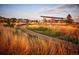 Picturesque park with walking path, native grasses, and a shaded gathering spot in a vibrant community at 21166 E 62Nd Dr, Aurora, CO 80019