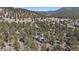 High angle aerial view of the property nestled in a picturesque wooded area at 29691 Fairway Dr, Evergreen, CO 80439
