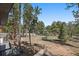 Secluded wooded lot, fenced in backyard, viewed from the beautiful deck of the home at 29691 Fairway Dr, Evergreen, CO 80439