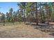 Beautiful wooded lot with home, two car garage, and mature trees around the property at 29691 Fairway Dr, Evergreen, CO 80439