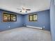 This bedroom boasts blue walls, soft carpeting, and natural light streaming in through its dual windows at 312 Meadow View Dr, Evergreen, CO 80439