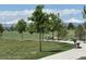 Grassy neighborhood park with small trees, walking path and mountain view at 6404 Dry Fork Dr, Frederick, CO 80516