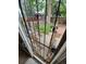 View of the backyard through a gated back door with mature tree and storage shed at 1078 Elmira St, Aurora, CO 80010