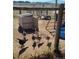 Exterior shot of a chicken coop with chickens in an enclosed area at 5910 Mccart Ranch Cir, Elizabeth, CO 80107