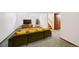 Basement living room with green sofa, colorful pillows, carpet, and retro furniture with a TV at 9125 Lowell Ct, Westminster, CO 80031