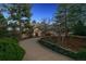 Exterior view of home featuring a winding driveway and mature trees at 902 Anaconda Ct, Castle Rock, CO 80108