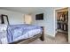 Spacious bedroom featuring plush carpet, TV, walk-in closet, and neutral paint scheme at 4640 Fairplay Way, Denver, CO 80239