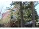 A picturesque exterior with mature trees, offering shade and privacy around the property at 28650 Cavan Ln, Evergreen, CO 80439