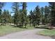 Scenic view of a community, showcasing mature trees, an open grassy area, and paved access at 28650 Cavan Ln, Evergreen, CO 80439