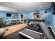 Bright home gym features exercise equipment and mirrored wall for a full view during workouts at 9188 Buck Hill Dr, Highlands Ranch, CO 80126